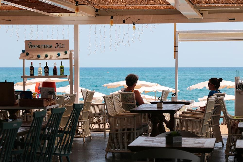 Kaktus Volga - Adults Recommended Calella